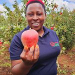 Success in Apple Entrepreneurship