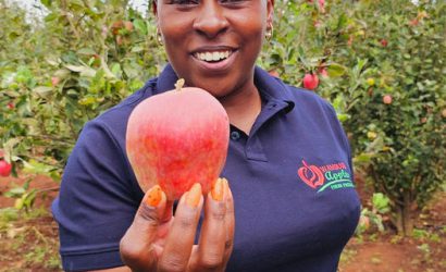 Success in Apple Entrepreneurship