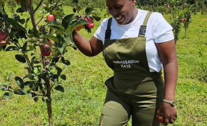 wambugu apple Future Prospects