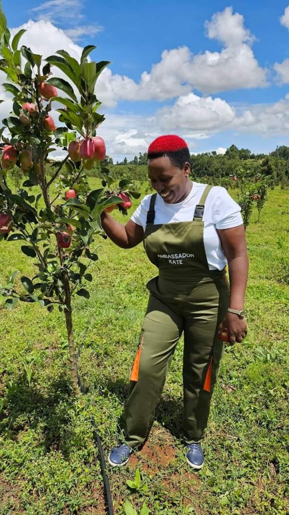 wambugu apple Future Prospects
