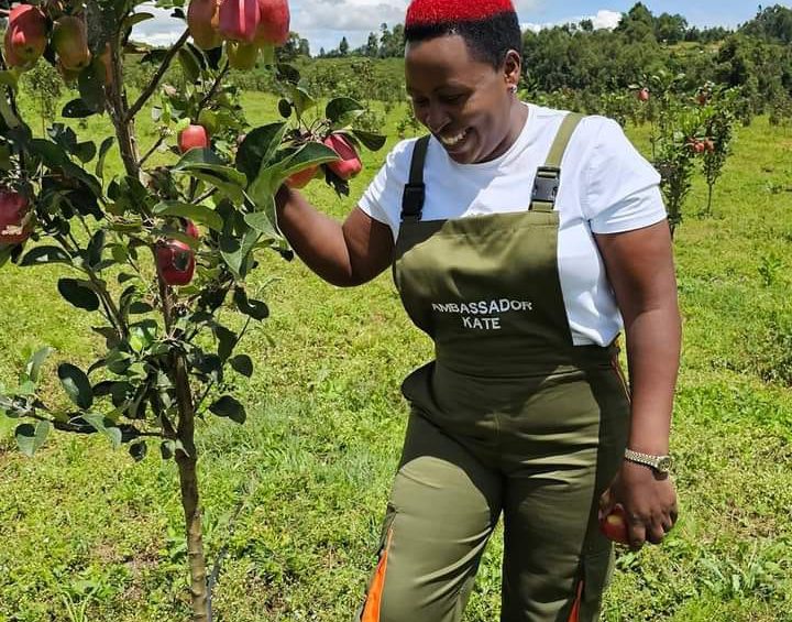 wambugu apple Future Prospects