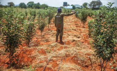 Importance of Farm Layout