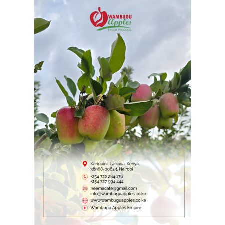 Wambugu Apples Farming Manual